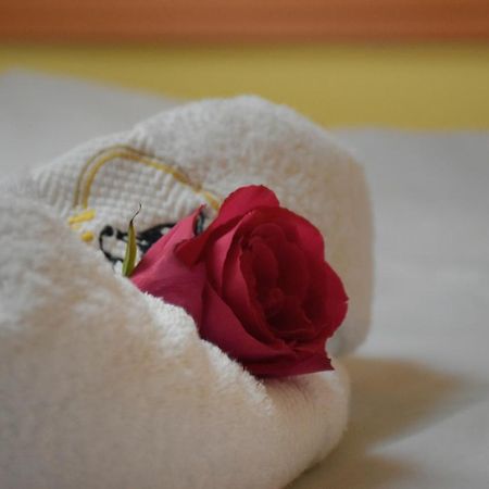 נובי סאד Hotel Lupus מראה חיצוני תמונה